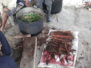 Making the Ayahuasca brew